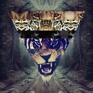 Meet your Posher, Carli